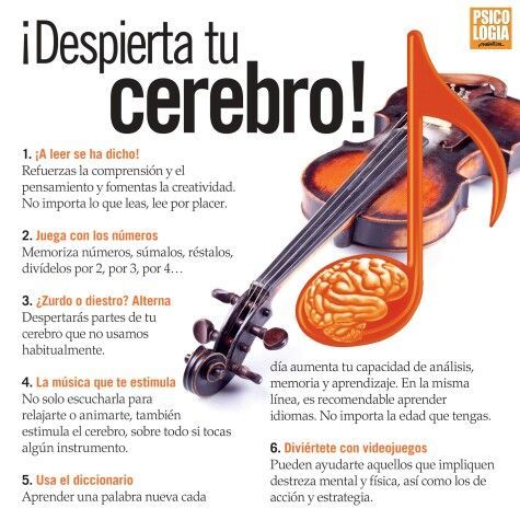 NoticiasNeuro's tweet photo. Estimula tu #cerebro, tu #productividad te lo agradecerá. https://t.co/3URjJEWJFn