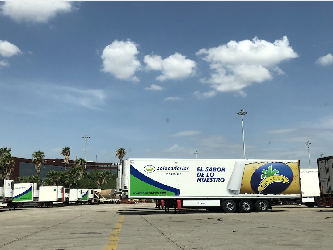 Solocanarias tweet media