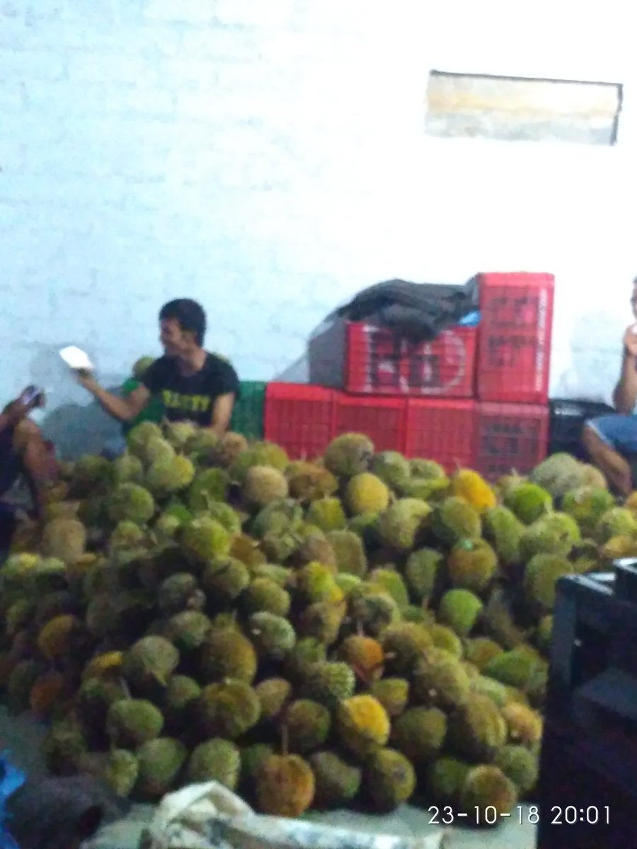 EssentialMas's tweet photo. Siap kirim 
Duren TABANAN https://t.co/yIz2kgcf0Z