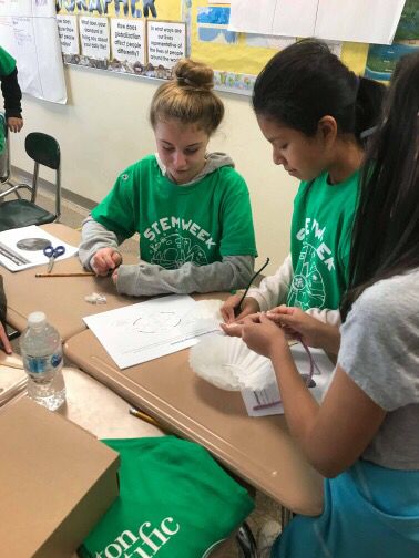 MPSPanthers's tweet image. More pictures from #WhitcombStemWeek