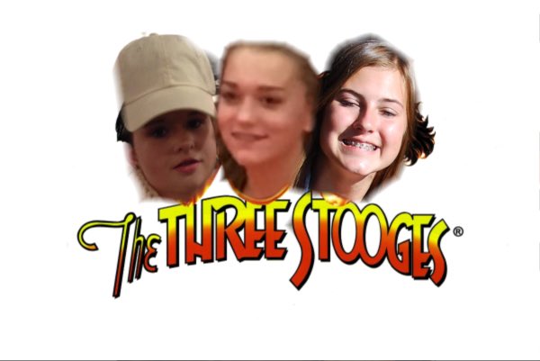 The Swarm tweet media