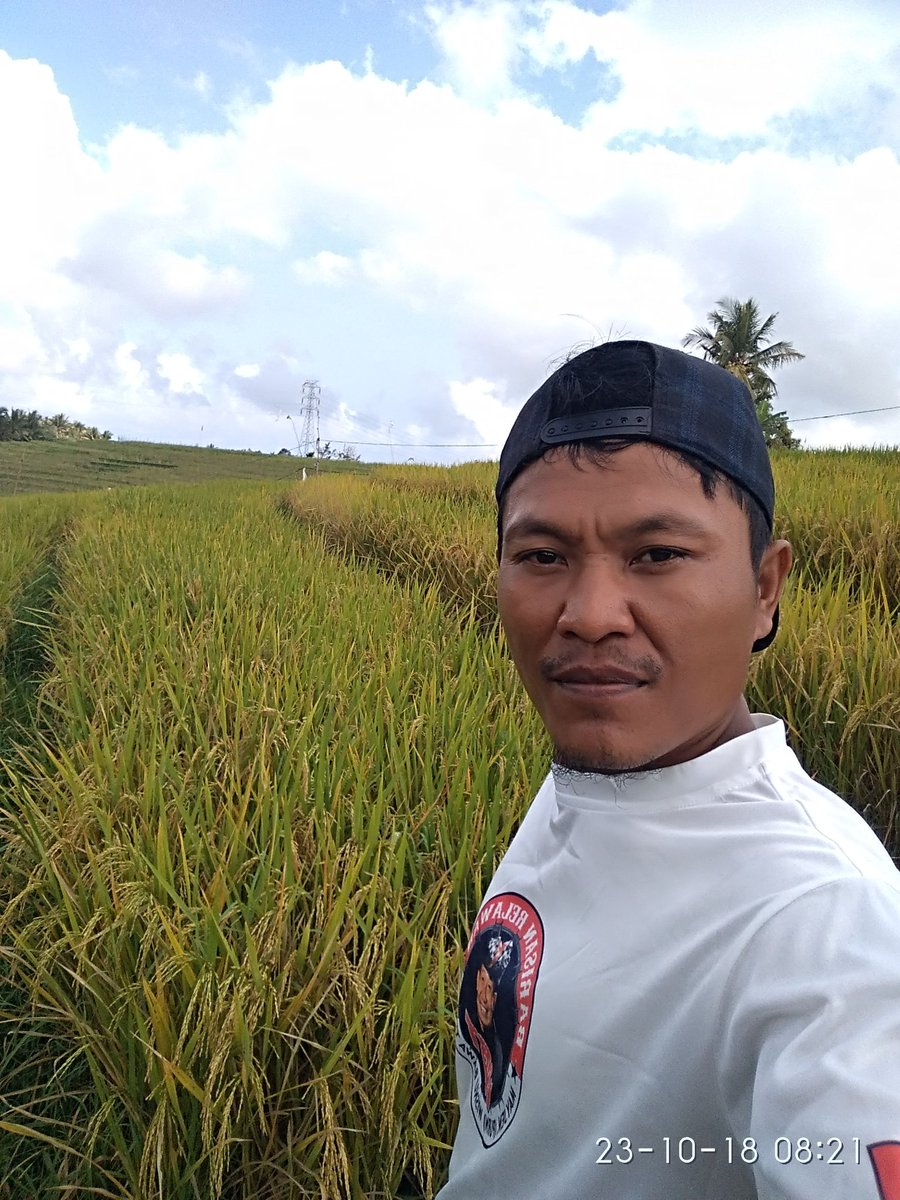 EssentialMas's tweet photo. @ruslanwiryadi Beralih fungsi https://t.co/5TvIwxBYa8