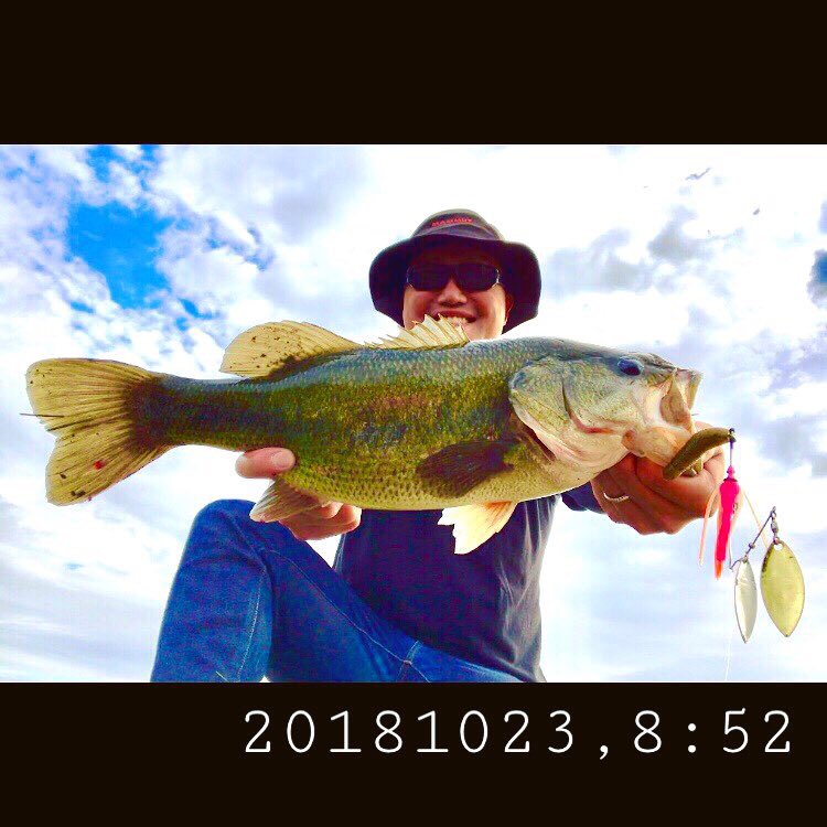 roskilde3139's tweet photo. 小雨が本降りに変化する直前のタイミングで巻き倒してキャッチしました😄🎣
#バスフィッシング #レベルスピン #レイドジャパン
#イモグラブ #ゲーリーヤマモト
#久保田クリーク #12アンタレス
#levelspin #raidjapan
#garyyamamoto #imogrub
#angler #bassfishing #blackbass
#zoff #mammut https://t.co/KFSHbJRkWX