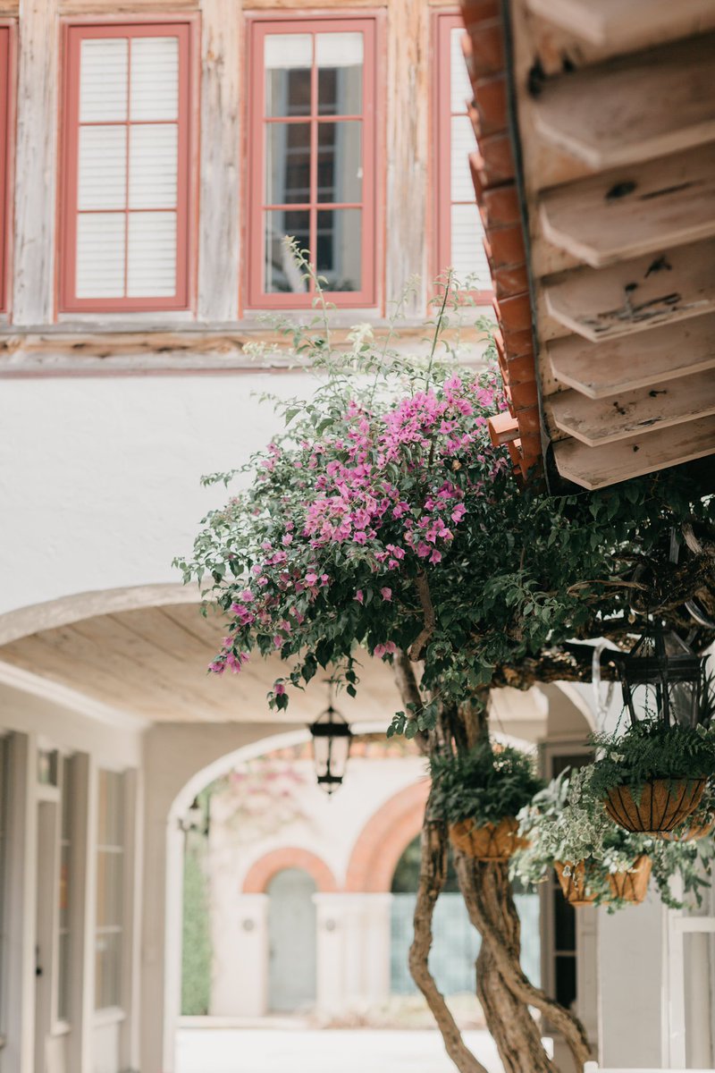 FSPalmBeach's tweet photo. With so many hidden gems, you never know where your Palm Beach adventure will take you. Nestled between famed Worth Avenue and Peruvian Avenue lies Via Mizner, a quiet respite filled with rich history and Floridian charm. #fourseasons (photo Jessica Bordner) https://t.co/dJ089xiZhV