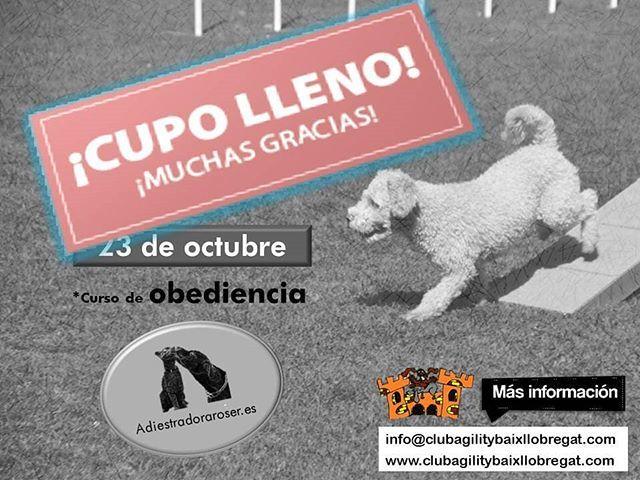 agilitybaix's tweet photo. 🦀 #completo #plazasagotadas #cupolleno #cursodeobediencia #muchasgracias #agilitybaixllobregat #elclubmásmolón #venalbaix https://t.co/P6MjR5iwYf https://t.co/raKkdoYaBt