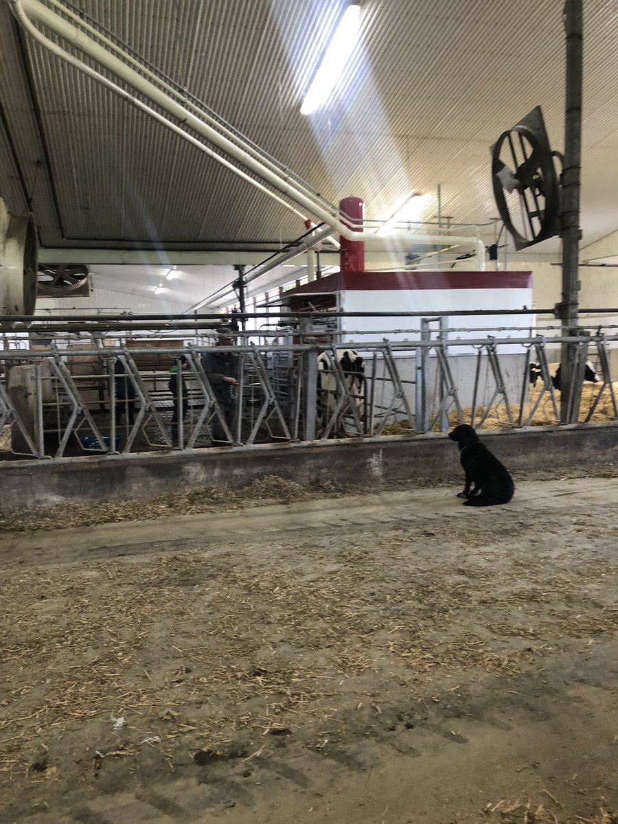katelynmackay's tweet image. It’s a great day for a robot start up @Avonbank_Ag @Avonbank2 @AvonbankJay #livelifelely