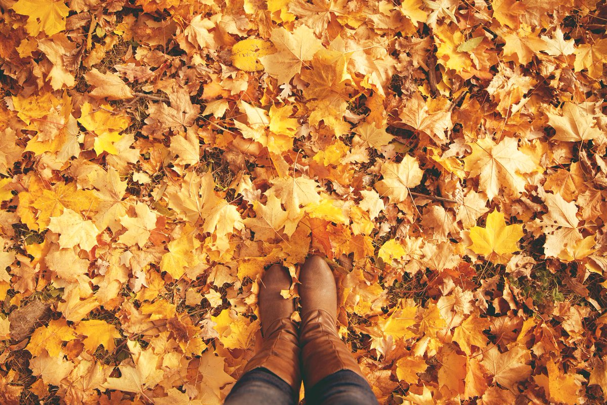 HingeWaco's tweet photo. What are some of your favorite #fall trends? Comment below! 👇🏻 https://t.co/WFvBQZ0yqW