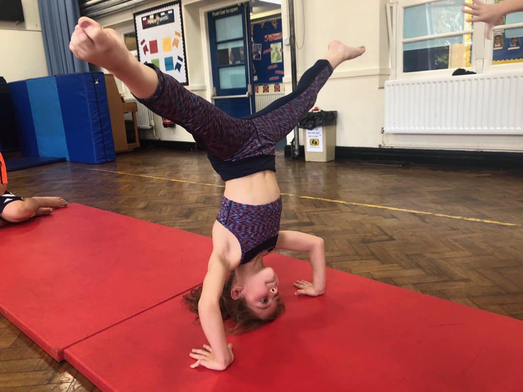 DanceBugs tweet media