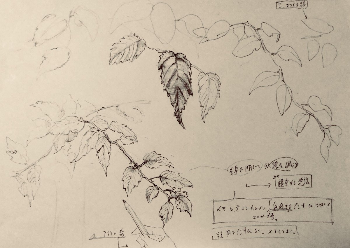 寒いけど今日も新宿御苑でスケッチしてきた

誰か冬用に暖かいペンを開発してくれ

#高原工房
#下田スケッチ会
 https://t.co/032VM1a3J1 