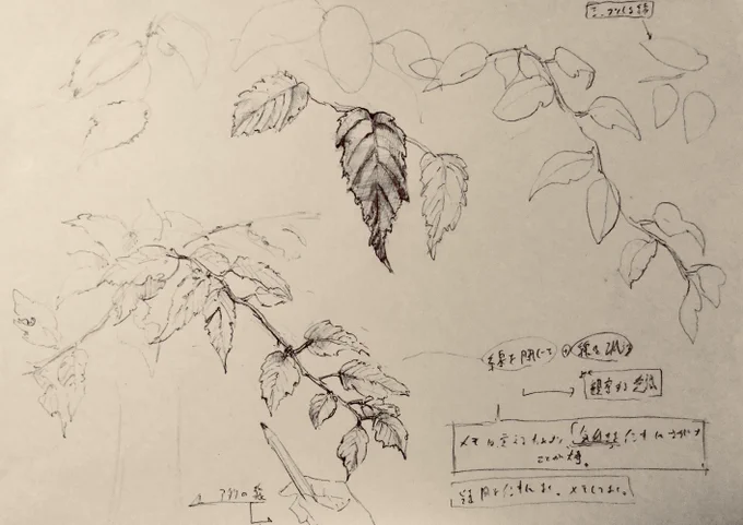 寒いけど今日も新宿御苑でスケッチしてきた

誰か冬用に暖かいペンを開発してくれ

#高原工房
#下田スケッチ会
 https://t.co/032VM1a3J1 