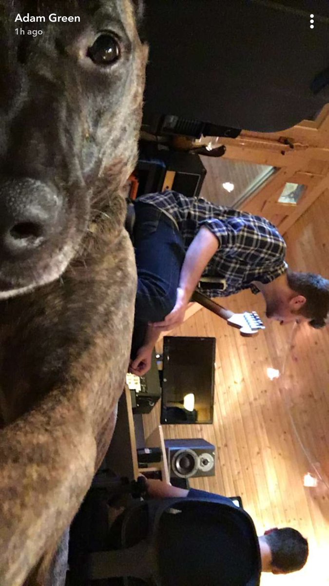 ParallelHeights's tweet photo. Introducing Rufus, studio engineer and good boy in residence!
#goodboy #newmusic #studiolife #baltimoremusic #teamworkmakesthedreamwork https://t.co/edP2ujuScI