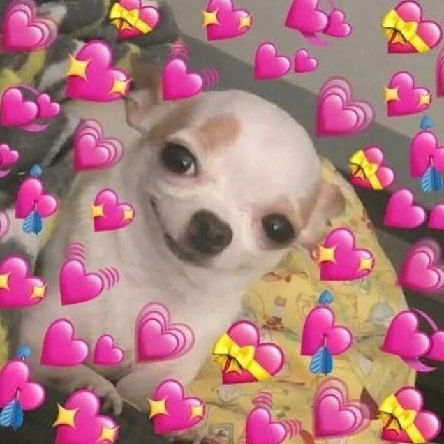 Ben elendim yine 🔥🧡 #damlacan