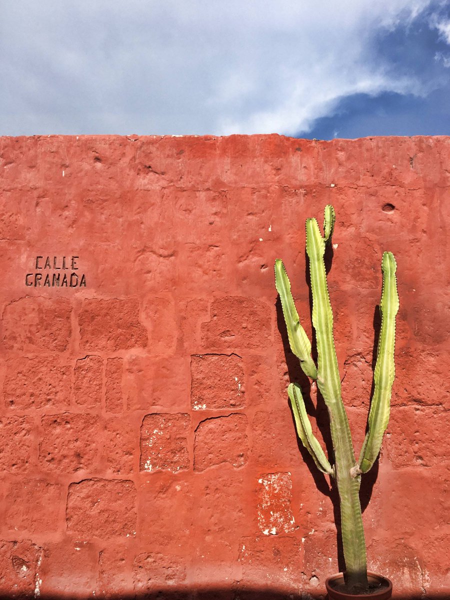 martaryna's tweet photo. Se pensate di partire ... https://t.co/M5YLlyKnvS #Viaggi #Perù #Arequipa https://t.co/G2Y9FBI1z6