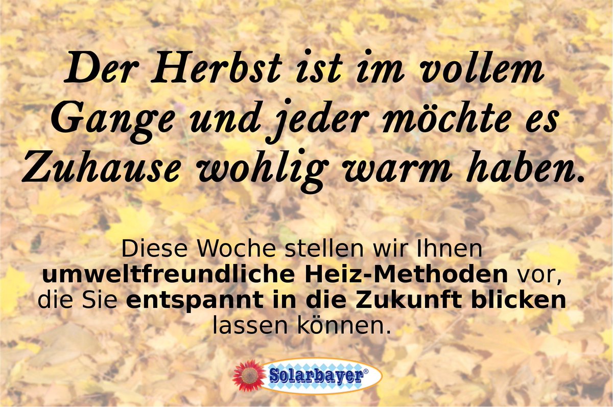 Solarbayer tweet media