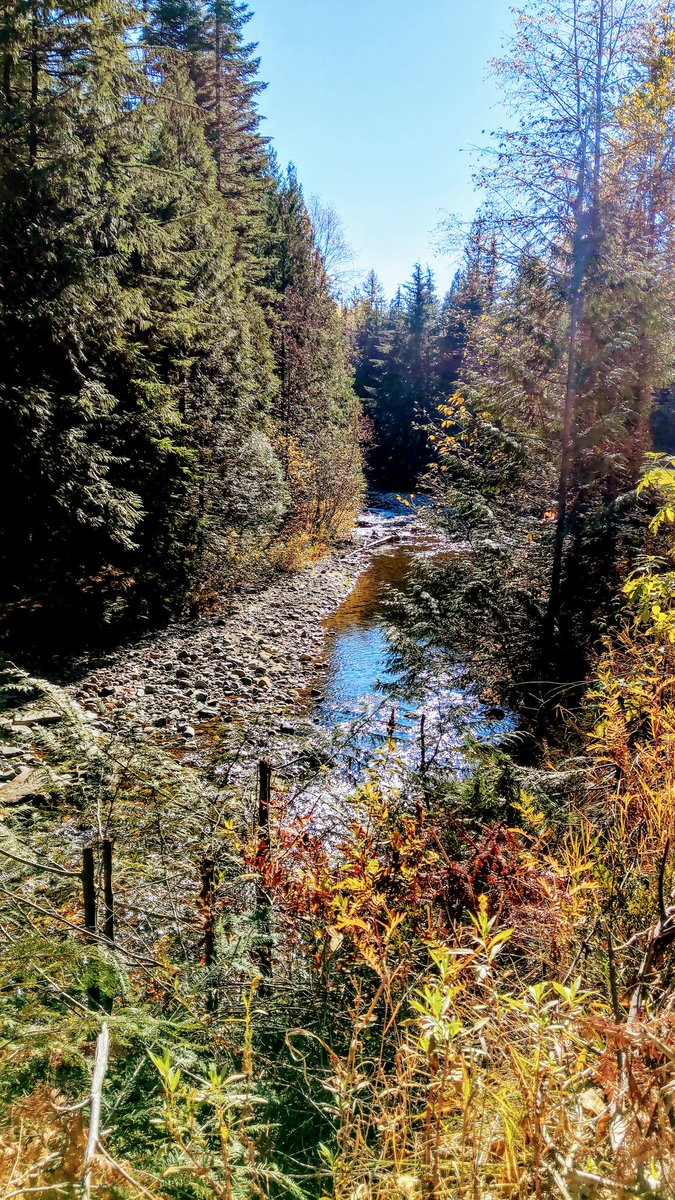 JMBPhotoPNW's tweet photo. Few more from 10:19-21-2018 Shoot... #GrouseCreek #PNW #pnwonderland #Mountainlife #nature #HTC #htcusa #shotonhtc #HTCU12Plus @htc @HTCUSA https://t.co/xqYSEJvbrI https://t.co/CPhtB9hGml