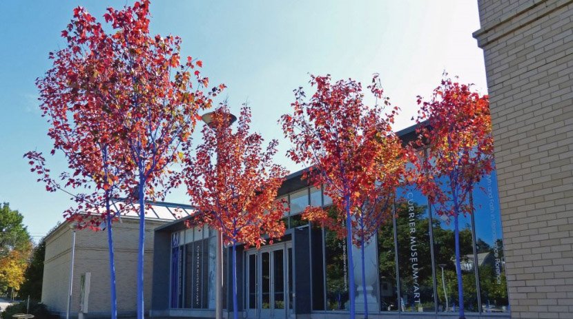 CurrierMuseum's tweet photo. Art can help save the planet! Learn more about the Currier Museum of Art’s environmental installation “The Blue Trees” by artist Konstantin Dimopoulos with Society for the Protection of New Hampshire Forests​: https://t.co/1vsFK56L2o https://t.co/iYxJyMWJoc