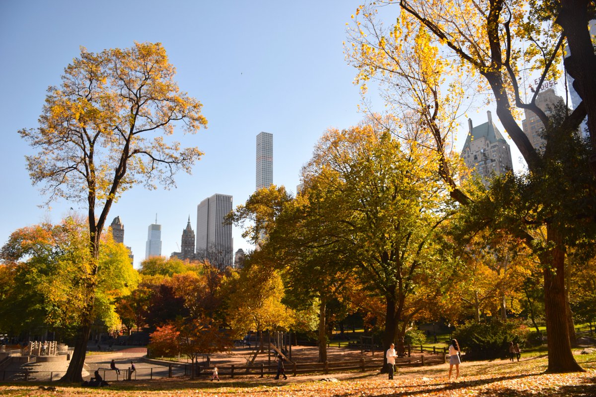 CitySSNYC's tweet photo. #Fall in full swing in #NYC 🍁🍂 #CentralPark #Stop23 #UptownTour https://t.co/UspIrZu3yo