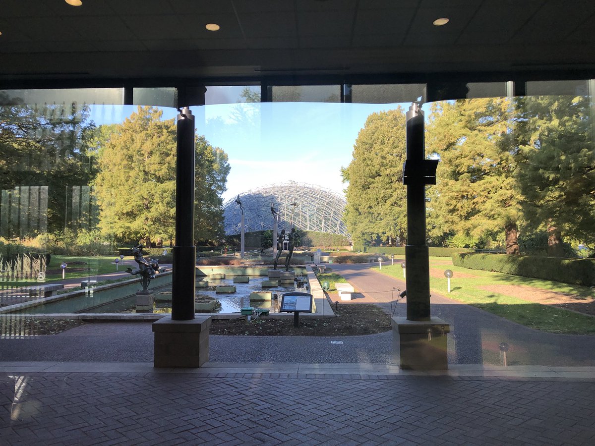 Amy Molitor tweet media