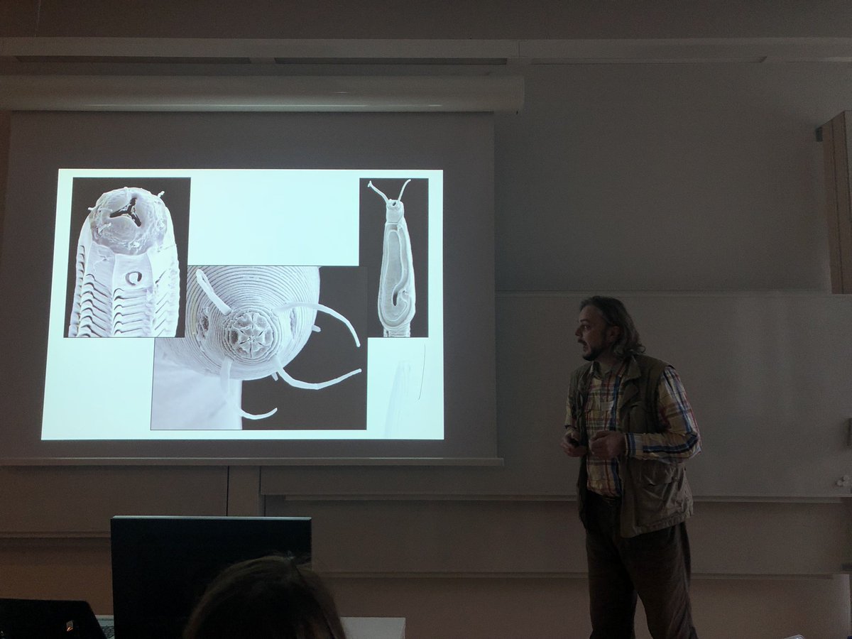 ulfjo's tweet photo. @Alex_Holovachov giving an update on Swedish marine nematodes at #sti2018 #WormWednesday https://t.co/Ie9yN85o16