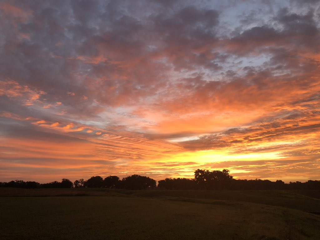 MMgreenthumb's tweet photo. So many different colors this morning #sunrise #officeviews #closedgolfcourse https://t.co/AHFXunpXBX