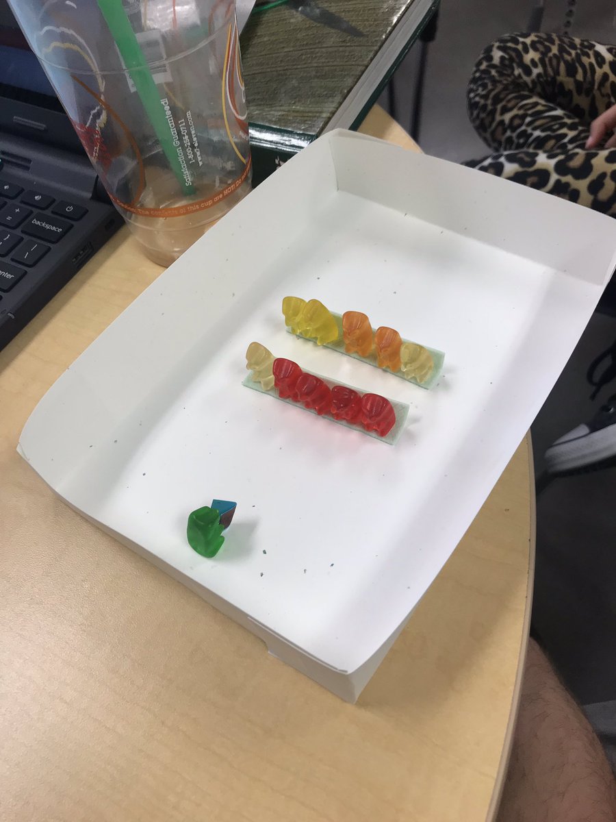 kim fritch tweet media