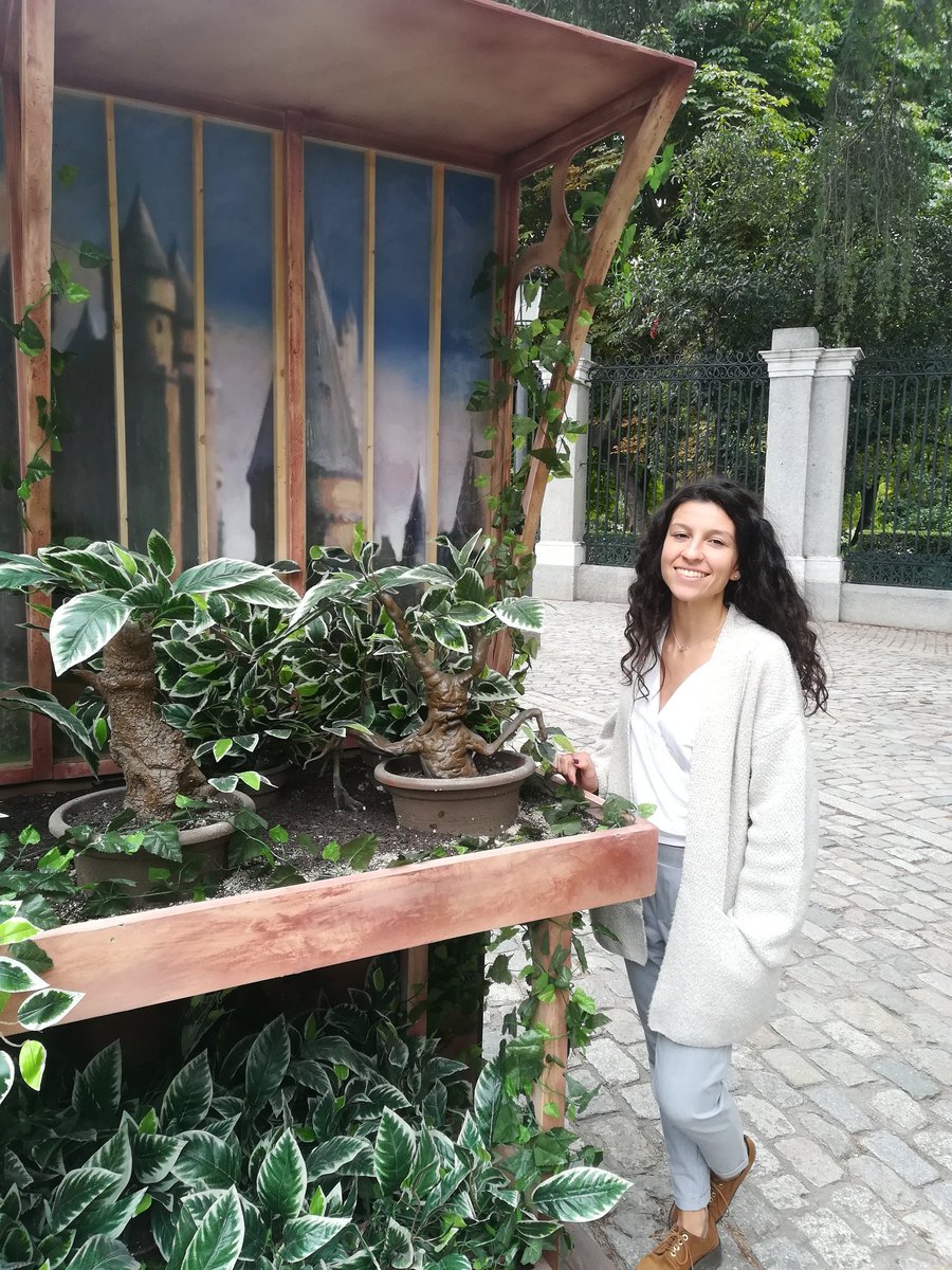 jesus_conil's tweet photo. #MadridCiudadMagica @WarnerBrosSpain https://t.co/rg9nM3VCTh
