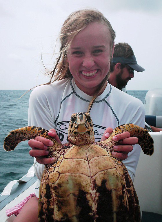 SeaTrekltd's tweet photo. #TurtleTuesday Did you know the oldest known sea turtle fossils dates back about 150 million years?? This makes sea turtles some of the oldest creatures on Earth. Just for some context, dinosaurs became extinct 65 million years ago! #SeaTrekBVI #FunFacts #TurtleTagging https://t.co/AyeHrZnIgB
