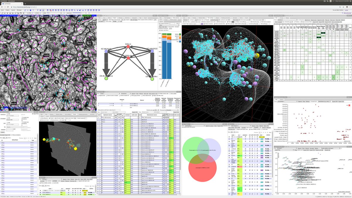 Florian Jug (@florianjug) on Twitter photo 1 day left to register for #I2K
Teaser: Neuronal circuit mapping & analysis with <a href="/catmaid/">CATMAID</a> -- circuit graphs, Venn diagrams of synaptic partners, 3D morphology visualizations, arbor synapse distrib., etc.
This and more from my father, <a href="/albertcardona/">Albert Cardona @albertcardona@mathstodon.xyz</a>, at embl.de/training/event⦠1 day left to register for #I2K
Teaser: Neuronal circuit mapping & analysis with <a href="/catmaid/">CATMAID</a> -- circuit graphs, Venn diagrams of synaptic partners, 3D morphology visualizations, arbor synapse distrib., etc.
This and more from my father, <a href="/albertcardona/">Albert Cardona @albertcardona@mathstodon.xyz</a>, at embl.de/training/eventā¦