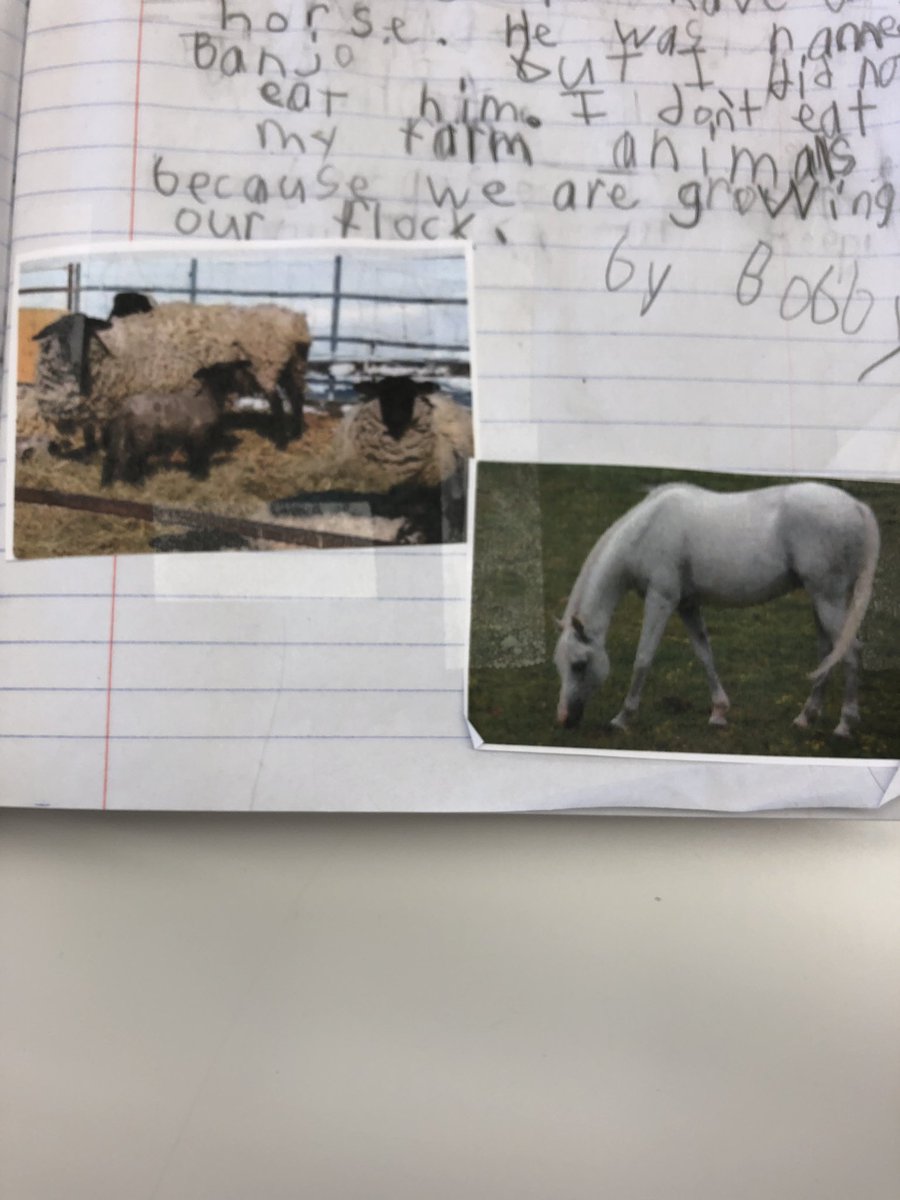mrsfclass's tweet photo. Our farm was built in 1922.  It is almost 100 years old.  I used to have a horse named Banjo, but we do not eat him!  We have sheep and we are growing our herd. #ourfoodhasastory https://t.co/0rYB1tDAGV
