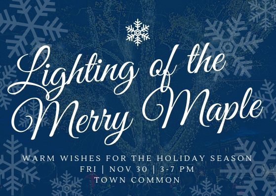 This beautiful annual event is happening on NOVEMBER 30 this year! Get ready for crafts, carriage rides, carols, and of course--lighting up the merry maple tree!