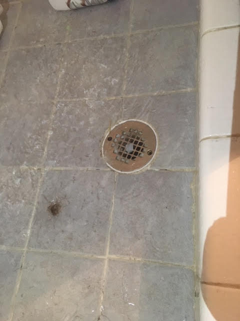 onesourceplumb1's tweet image. What are your drains not draining right?? Only one call away One Source Plumbing getting straight to the source👨‍🔧👨‍🔧👨‍🔧💪💪💪#freeestimate #drainproblems #dfwplumbers #onesourceplumbing