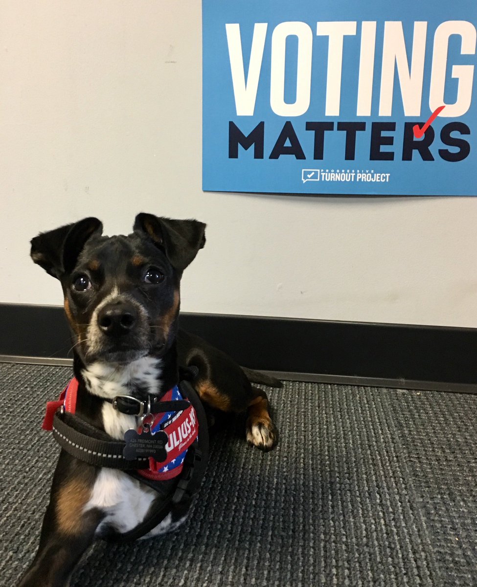 jillianlm22's tweet photo. Me and Trey came to give the NJ team some dog therapy to get them ready for the next 14 days! #NJ11 #PupsforPTP #VotingMatters https://t.co/klnQcrO1Md