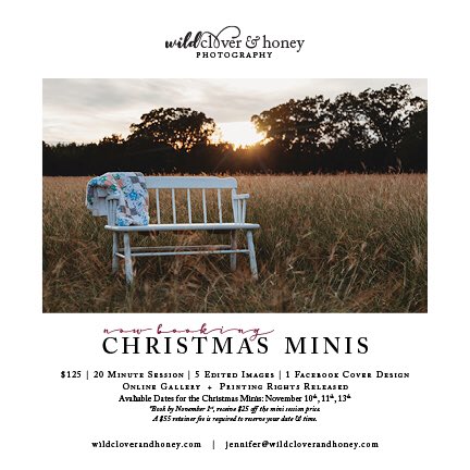 Christmas Minis | Nowbooking | DM me or visit wildcloverandhoney.com 
#minisessions #austinphotographer #georgetownphotographer #roundrockphotographer #cedarparkphotographer