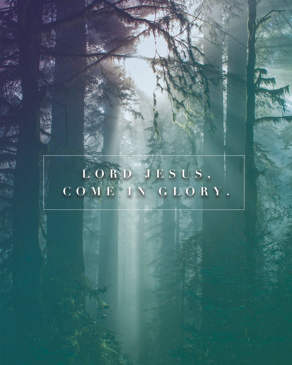 The Roadshow tweet media