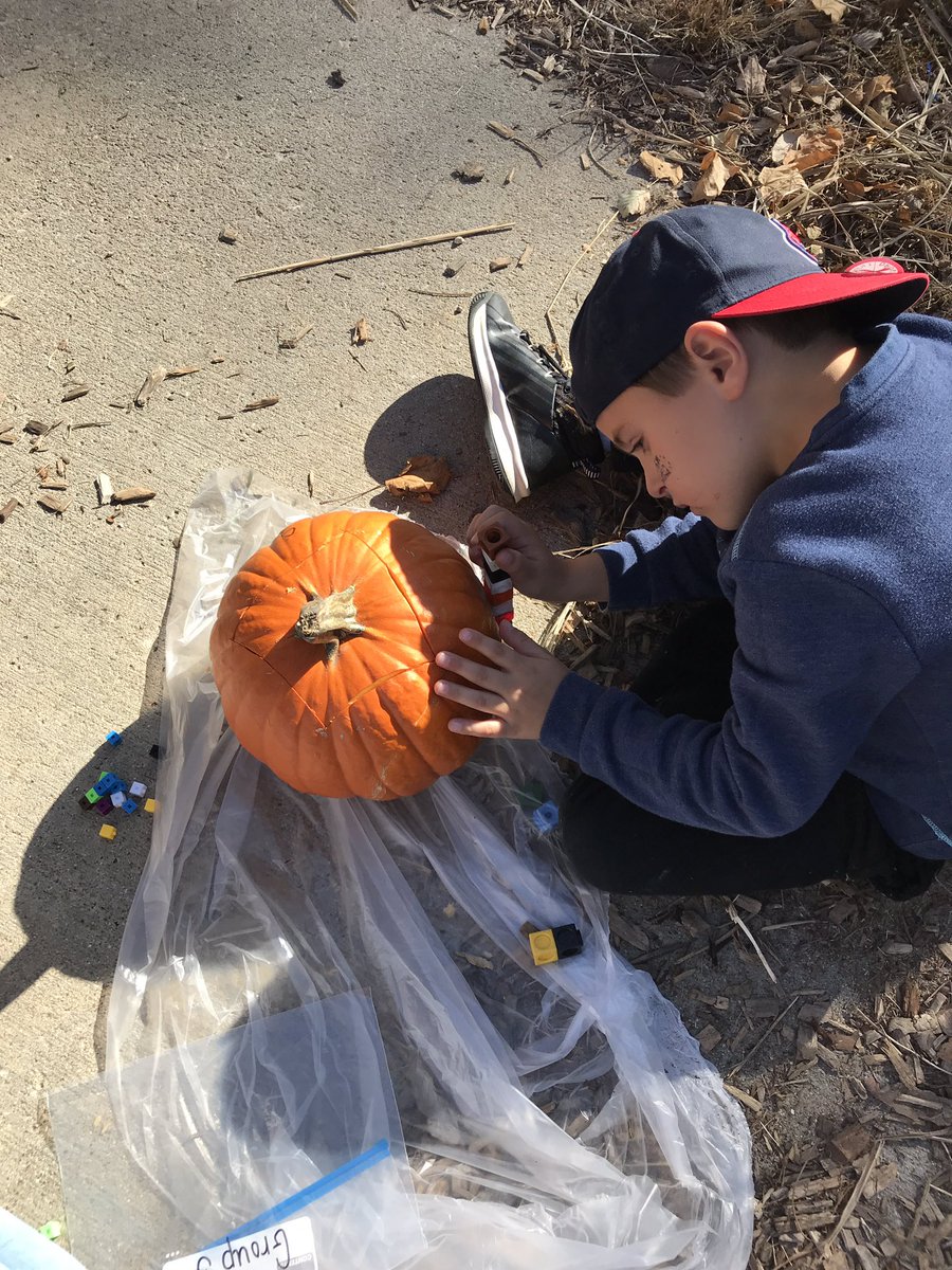 stacibraun's tweet photo. Pumpkin Investigation Project to extend our science and math HOT. #vanmeter #highorderthinking https://t.co/kH9IXC27a0