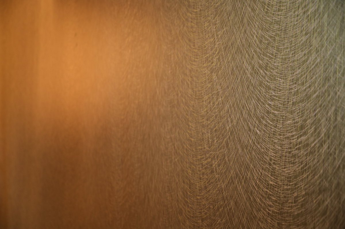 bourbonnbubbles's tweet photo. It’s all about the details! Here’s a close up look at the design on our wallpaper! So close to being able to share this all with everyone! #bourbon #bubbles #champagne #kingstreet #chs #design #bnb #charleston #sneakpeek https://t.co/3gDtGY6wna