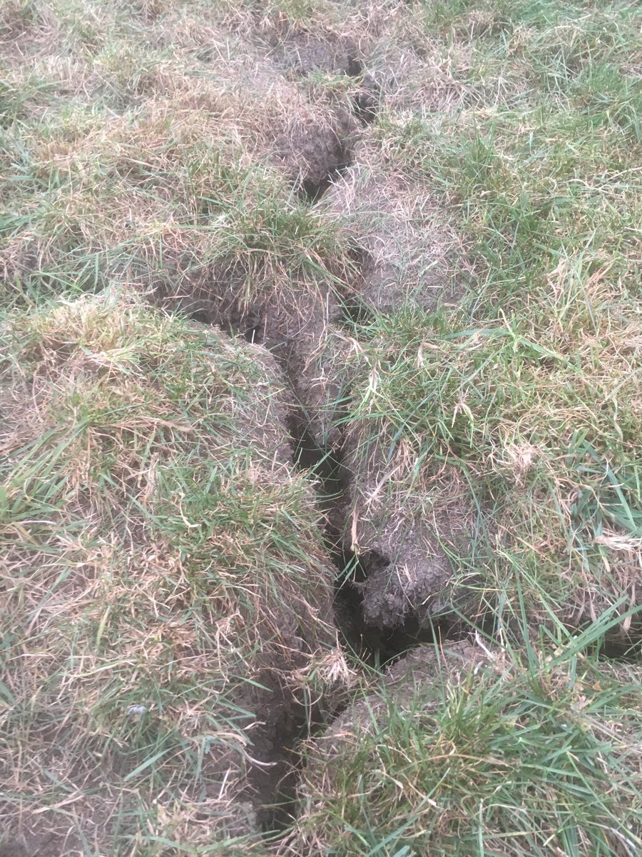 23 oktober en nog steeds mega scheuren in ons grasland. Droogte schade 18 ook nog in voorjaar 19 waarschijnlijk. Is dit ook de voorbode als wij volgend jaar moeten gaan snijden in de veengrond om te kunnen bemesten?