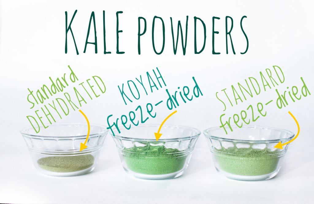 We strive to produce the worlds highest quality Organic Kale Powder. Notice our vibrant green color. The taste is even more noticeable. 🌿✨
.
.
.
#koyahlife #organickale #kalepowder #freezedriedkale #organic #seethequality #freezedried