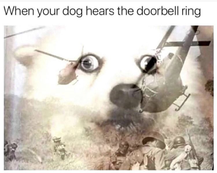 PhiSigmaPi_AX's tweet image. 