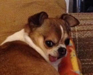 :P