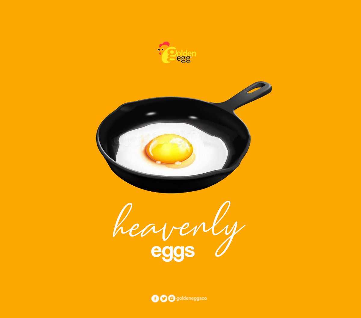 GoldenEggsCo's tweet photo. Which day Do Eggs love the most? Fry-day! 🐓🥚🍳😋❤
#GoldenEggsCo #organic #natural #agrifed #healthy #nutritious #layerfarming #protein #research #poultry #Omega3and6DHA #GoldenD #Kids #eggs https://t.co/I75oJr6q5M