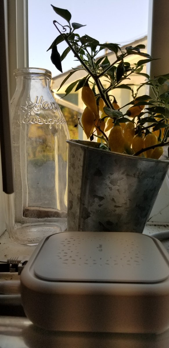 AltheaNetwork's tweet photo. The flower shop in Clatskanie has a new Althea connection! https://t.co/5fgFDecAeJ
