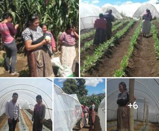 CCDA Guatemala (@ccda_guatemala) on Twitter photo 