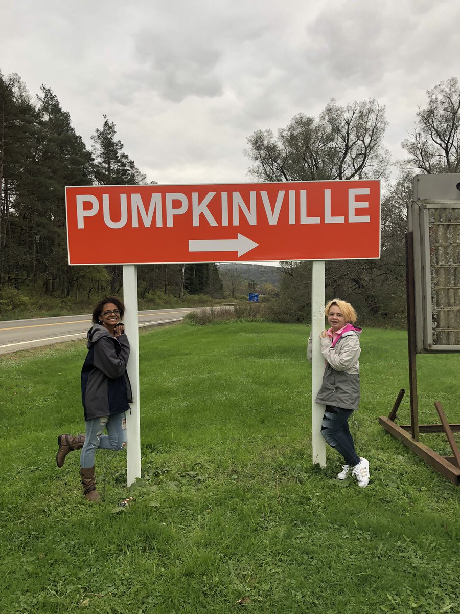 AlmodovarSasha's tweet photo. #Pumpkins #HOLLOWEEN https://t.co/zKhHhZ9EQv