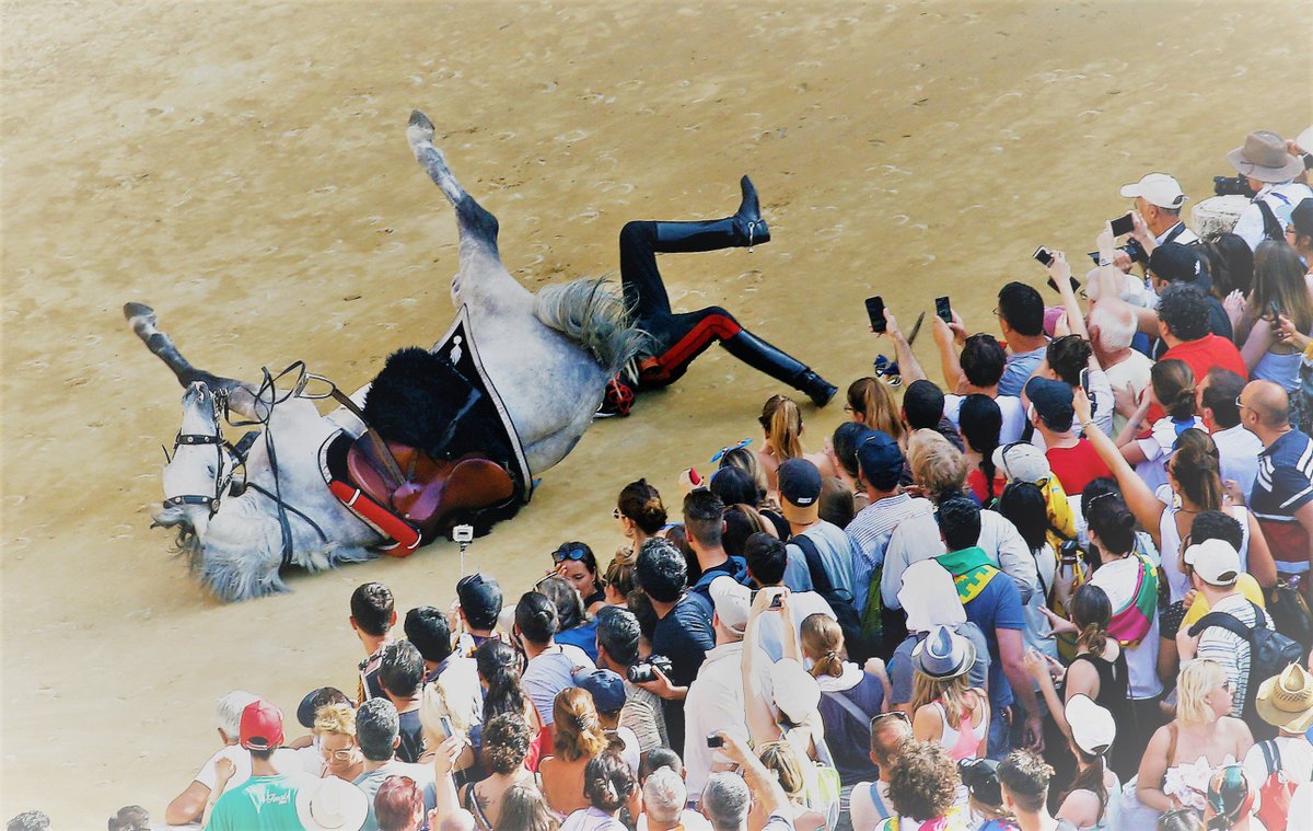 CarloRienzi's tweet photo. Doveva essere una festa. E invece, tutto il contrario, con la morte di #Raol, il cavallo della Giraffa, abbattuto a seguito delle ferite: ancora una volta il #Paliodi Sienasi è macchiato di sangue, tanto che dal 2000 sono finora otto i cavalli morti 👉🏻 https://t.co/0VdNjWU8RX https://t.co/0kbrYZQKBw