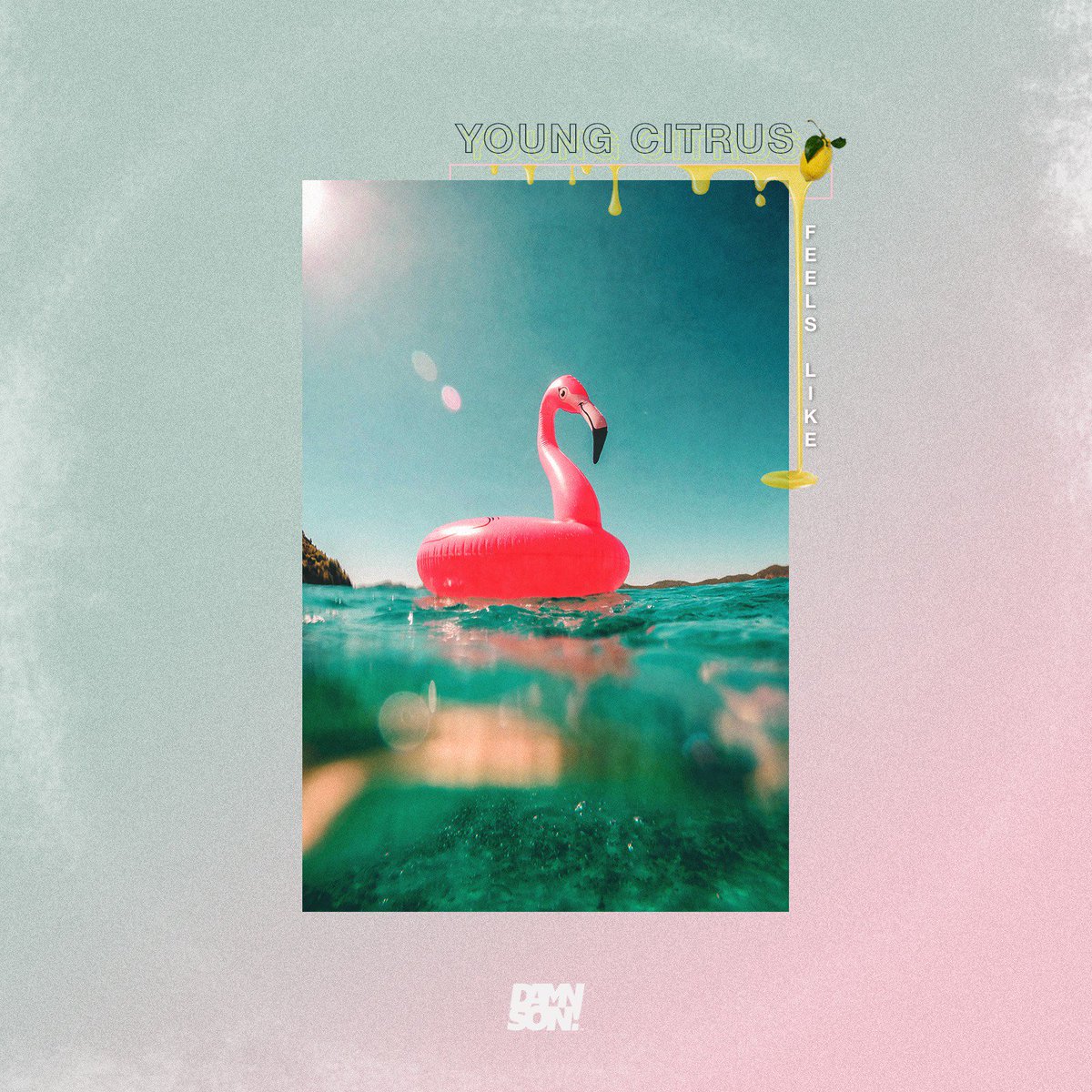 🚨 NEW MUSIC ALERT 🚨
◘ Young Citrus - Feels Like
◘ Stream / Free DL : bit.ly/2q7yEf2