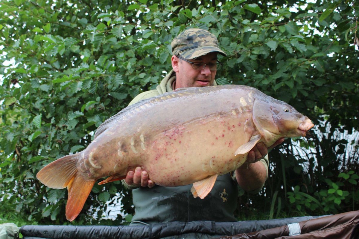 CarpSyndicate's tweet photo. John with a fish I have named measles, a proper lump at just under 40, #thecarpsyndicate @CarpSyndicate @VSFisheries @SScottFish https://t.co/SfvW2MX4TC