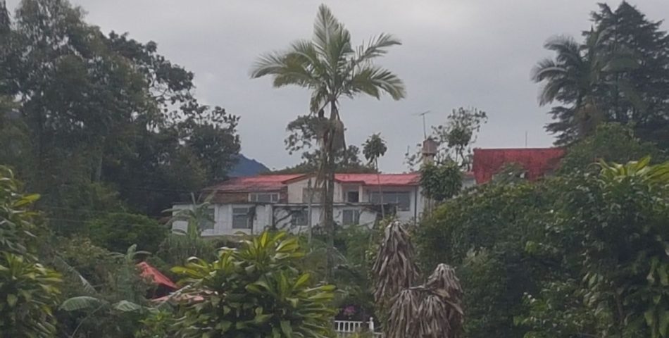 ASconstructora's tweet image. FINCA EN VENTA, SASAIMA CUNDINAMARCA
Bella finca de recreo, en Sasaima Cundinamarca, excelente oportunidad de negocio, vendo motivo viaje.
$1.100 Millones
Área: 3800 M2
Habitaciones: 3
Baños: 4
Garajes: 2
Info: Katherine Ariza 3204898337