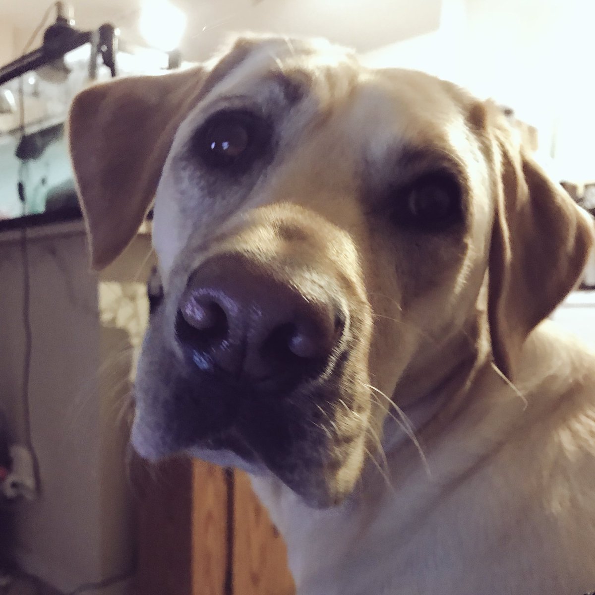 danielleuhl_'s tweet photo. Sometimes all you need is someone to listen 💖 and to cuddle on the couch after a long day. https://t.co/GixVz3d1yq