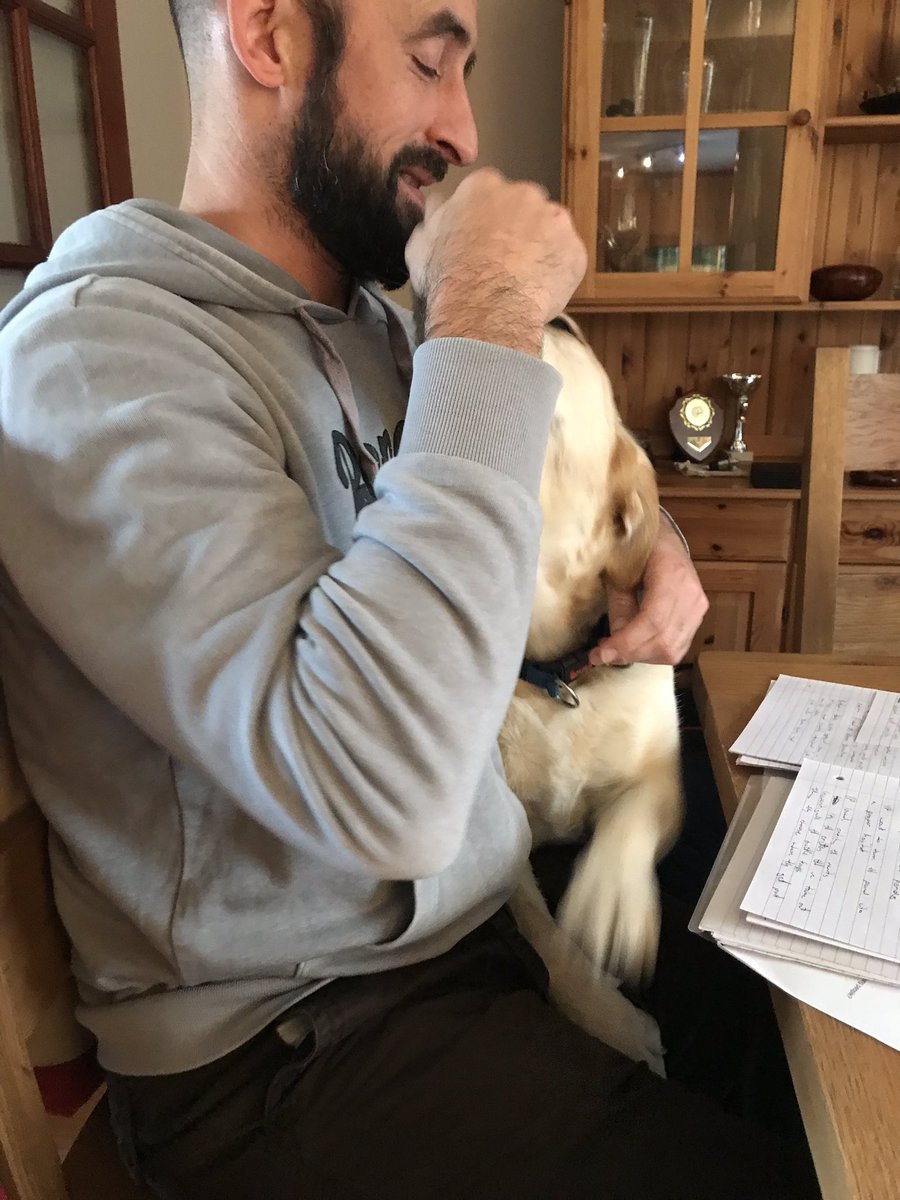 Busy analysis meeting today - Harvey the Labrador had many useful insights to offer to Derek and the rest of the team! #eval